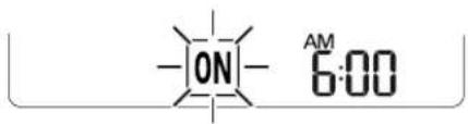 LG SN13ACNV - Canceling the On Timer - 1