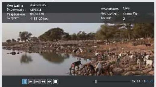 DEXP F32C7100B/W - Развлечения - 3