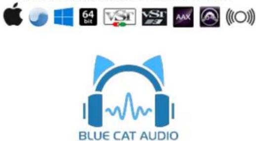 Blue Cat Audio Re-Guitar - 2