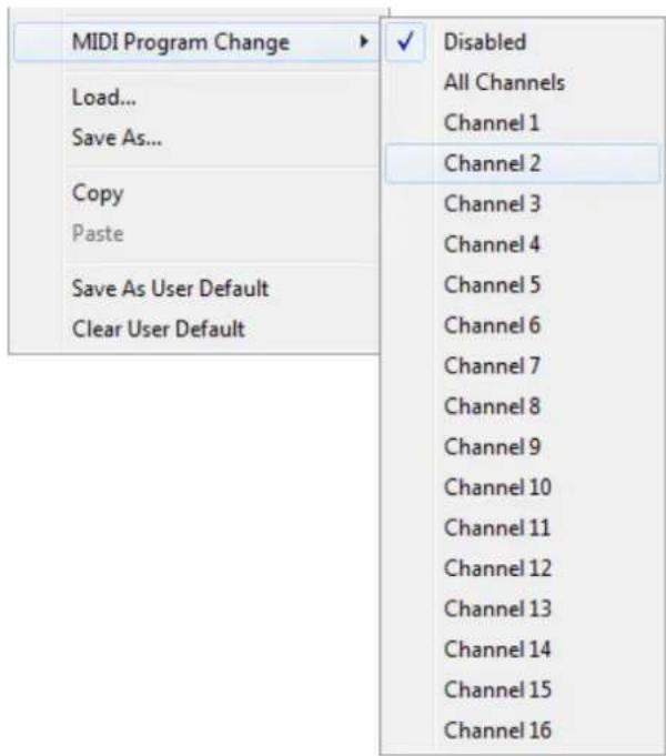 Blue Cat Audio Re-Guitar - MIDI Program Change - 1