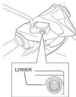 LOWER