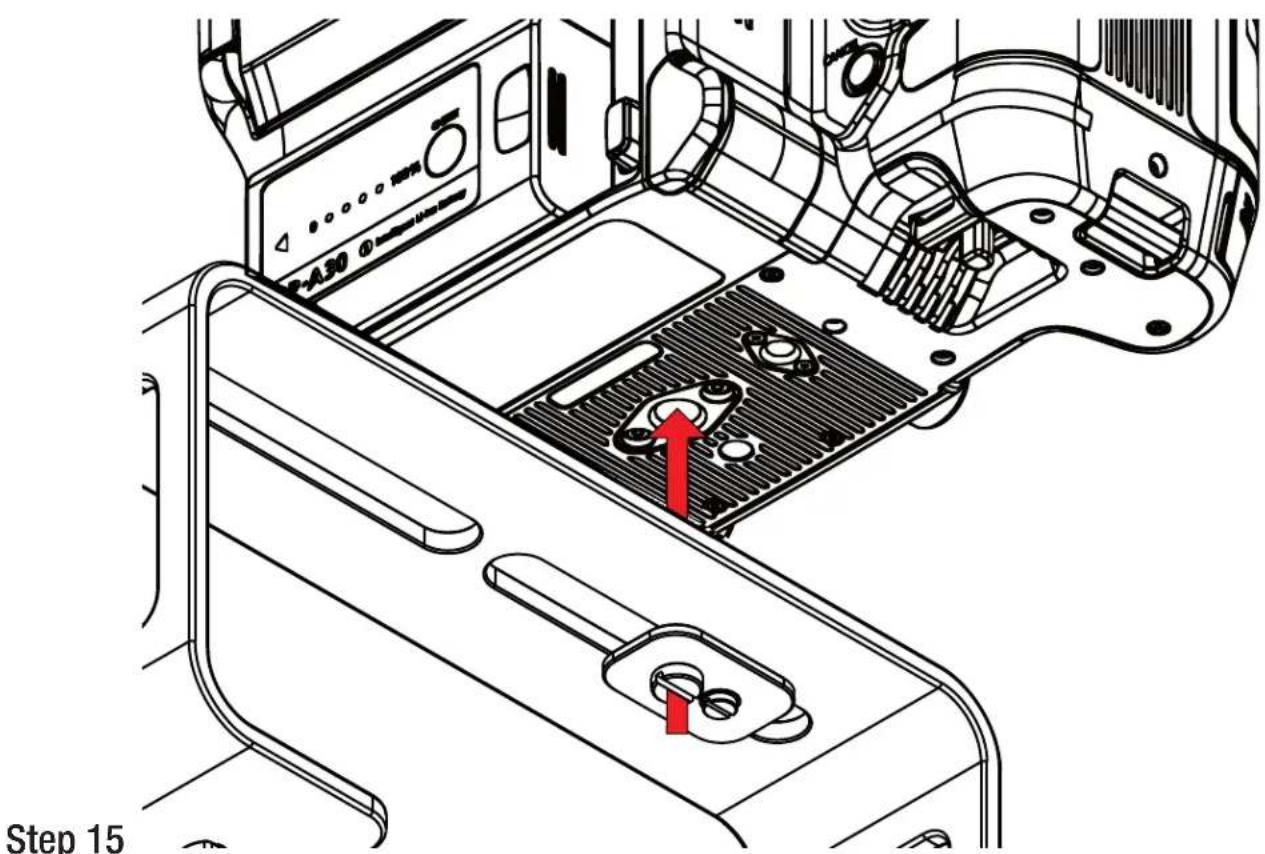 Step 15
