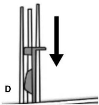 IGNIS LOE 1278 EG - Posizionamento del separatore nel comparto del lavaggio principale per detersivo in polvere o liquido - 3