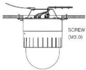 SCREW (M3.0)