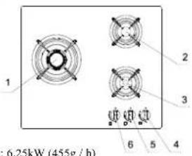 1 2 3 6 5 4 6.25kW (455g / h)