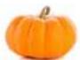 Dash Halloween Mini Dog DDTMH200GBOR04 - Directions: - 1