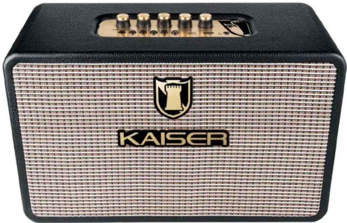 Kaiser KAG-2003 - Altavoces acústicos montados en caja acústica (bafle) boombox 6,5" (16,51 cm) - 1