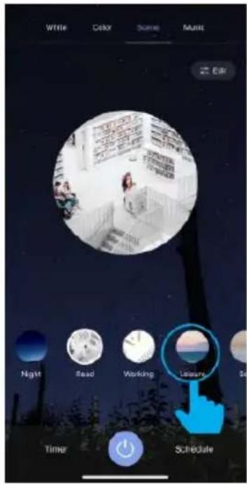 Write Delax Scene Music OK Night Read Working Leasing Schedule Timer S