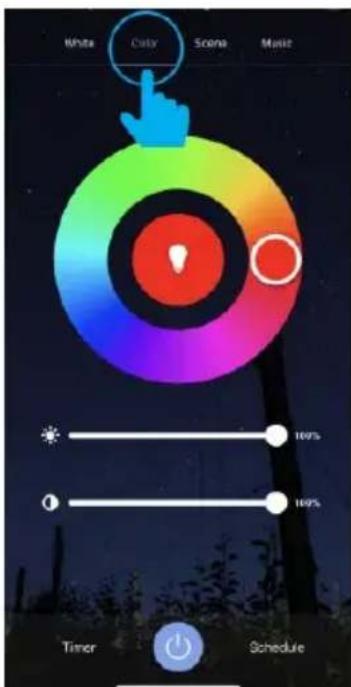 White Caby Scene Music Timer Schedule