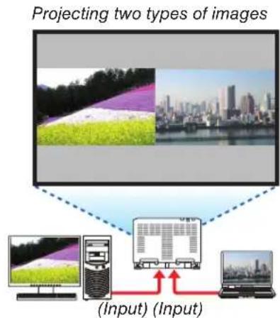 Projecting two types of images (Input) (Input)