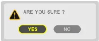 ARE YOU SURE ? YES NO
