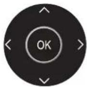 GRUNDIG Bayreuth 43 GUB 8999 - Adjusting the volume or changing the station - 2