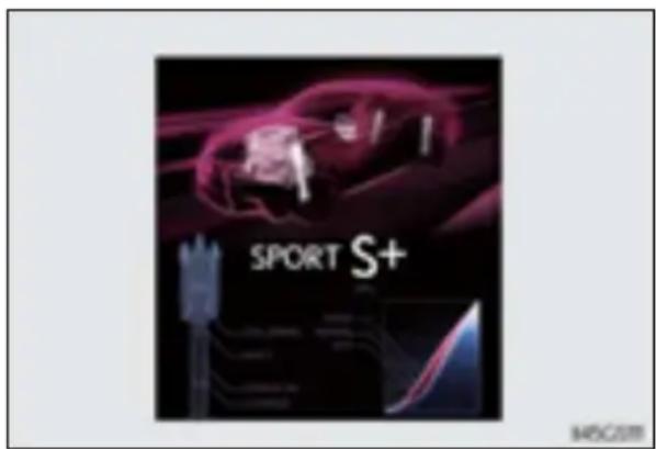 SPORT S+ MSC2011