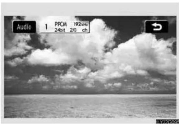 Audio 1 PPCM 192bit 24bit 2/0 ch