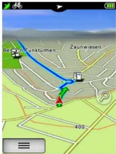 Beijen Funktümen Zaunwiesen 400