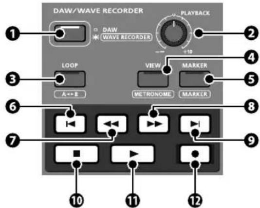 DAW/WAVE RECORDER DAW WAVE RECORDER PLAYBACK 1 2 3 LOOP A↔B VIEW MARKER METRONOME MARKER 4 5 6 7 8 9 10 11 12
