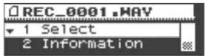 ROLAND VS-100 - MEMO - 2