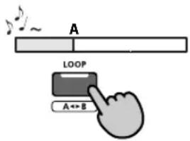 A LOOP A ↔ B