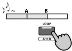 A B LOOP A ↔ B