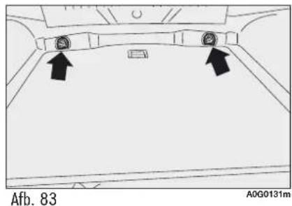 Afb. 83 A0G0131m