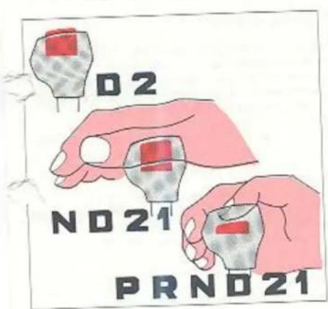 D2 ND21 PRND21