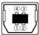 HITACHI CP-WU8440GF - USB TYPE B - 1