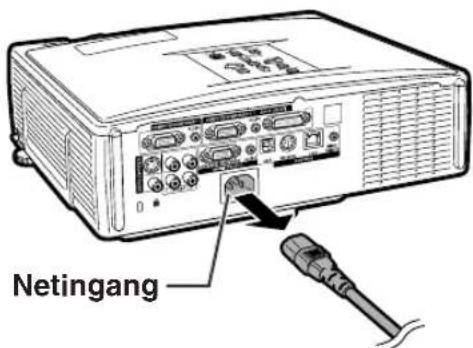 Netingang