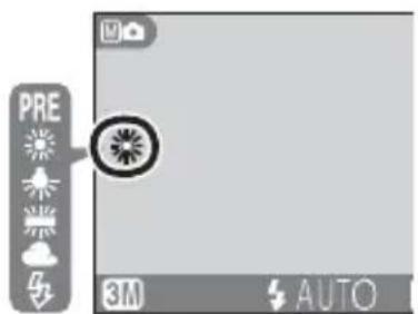PRE 3M AUTO