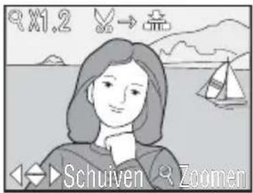9X1.2 → 金 Schuiven Zoomen