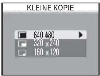 KLEINE KOPIE 640 480 320 x 240 160 x 120