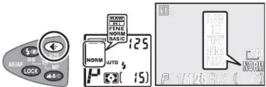 AE/AF ISO LOCK SIZE L MF 125 NORM AUTO P 1/125 F5.6 ( 15) RAW HI FINE NORM BASIC RAW HI FINE NORM BASIC P 1/125 F5.6 ( 15)