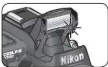 NIKON Coolpix 8700 - De AF-hulpverlichting - 1