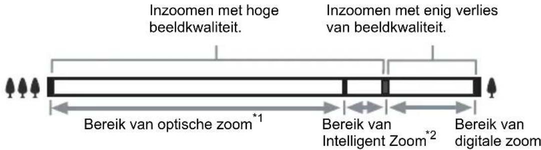 PENTAX Optio L50 - Druk op de Zoom/♠♠♠/♠ knop in de stand 📄. - 2