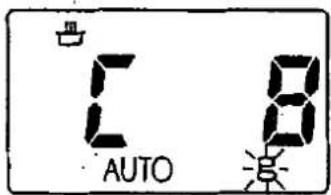AUTO 8