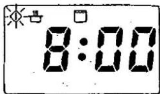 8:00