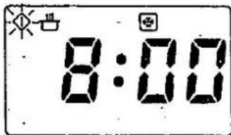 8:00