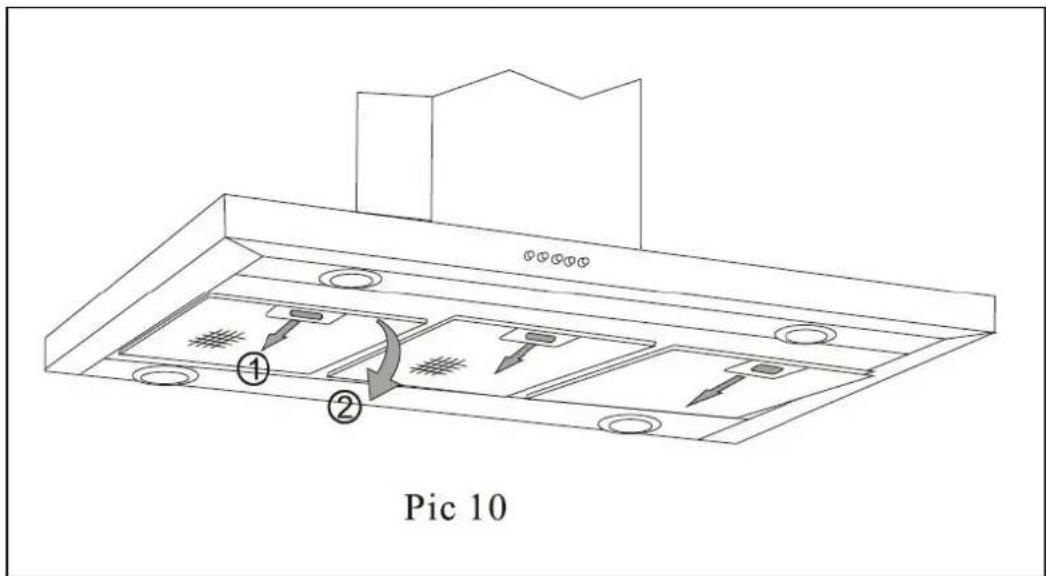 Pic 10