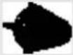 NILFISK C 130.1 - Accessoires - 10