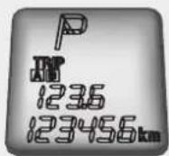 KIA Magentis II - Buitentemperatuur (°C of °F) - 1