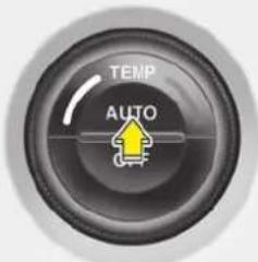 TEMP AUTO