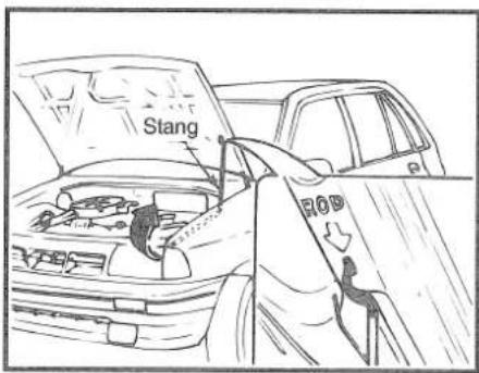 Stang F00