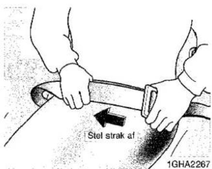 Stel strak af 1GHA2267