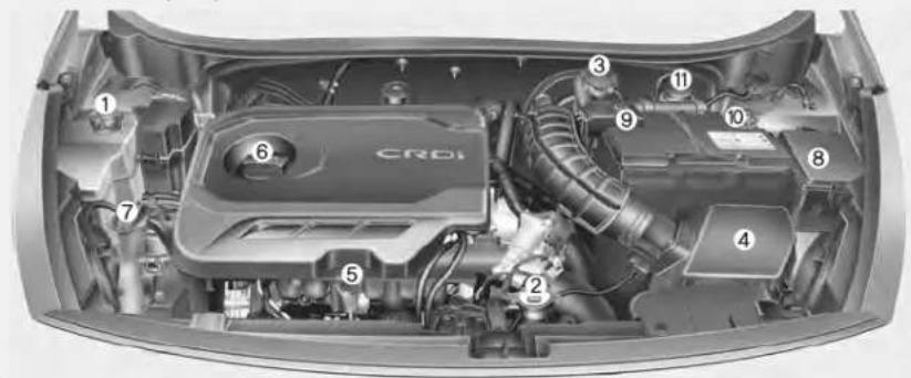 ① ② ③ ④ ⑤ ⑥ ⑦ ⑧ ⑨ ⑩ ⑪ CRDI
