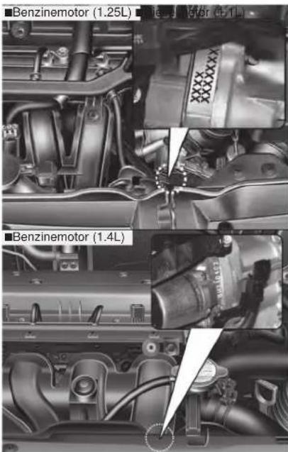 ■Benzinemotor (1.25L) ■Benzinemotor (1.4L)