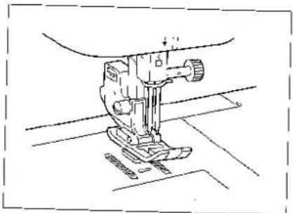 BROTHER Super Ace II M955 - Dekoratieve zoomsteken 2 - 7