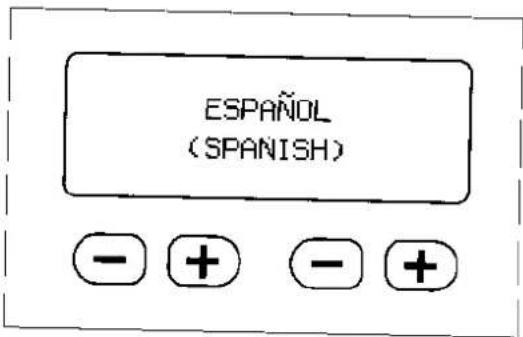 ESPAÑOL (SPANISH)