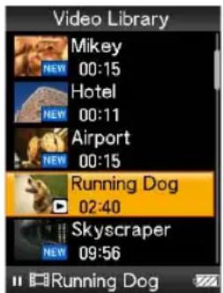 SONY NWZ-S516 Walkman - (Op de speler) - 1