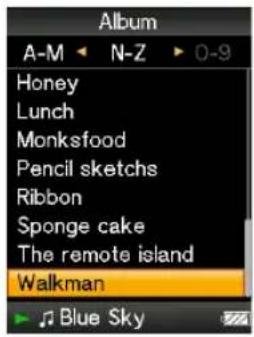 SONY NWZ-S516 Walkman - Druk op de △/▽/◀/▶-knop om de weergave-indeling te selecteren en druk op de ▷▶-knop om te bevestigen. - 1