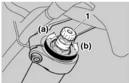 (a) 1 (b)