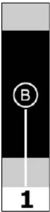 B 1
